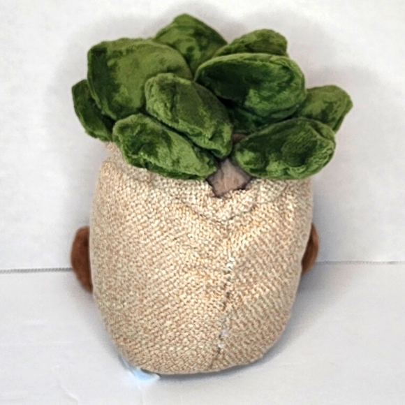 SMILEY 🪴 Adorable Succulents in Smiley Face Planter - Your Choice of One - Picture 4 of 6